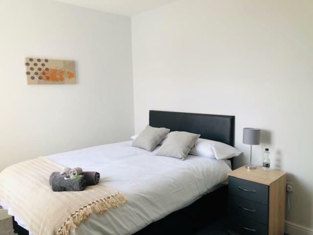 Townhouse @ 51 Balfour St, Stoke Hotel Kültér fotó